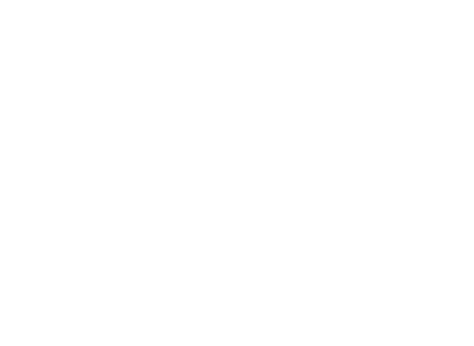 The Critiq